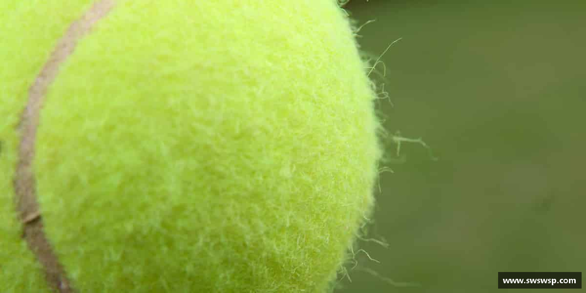 解读emc易倍·体育